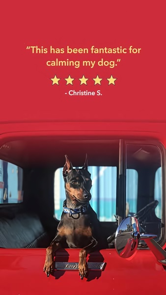 A 9:16 vertical social ad featuring a dog in a vehicle with a clear five-star customer review overlay, leveraging social proof to build trust.
